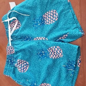 Chubbies pineapple shorts
